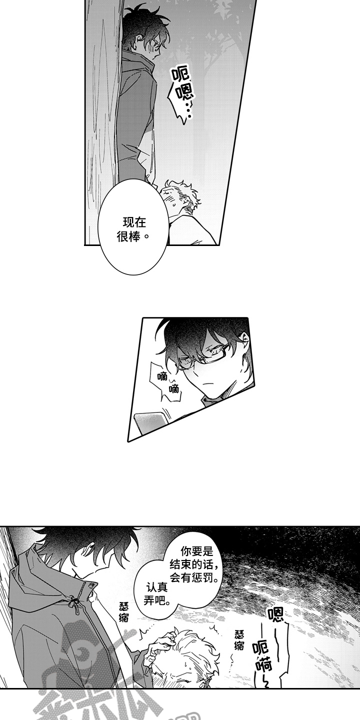 第13章：散步3
