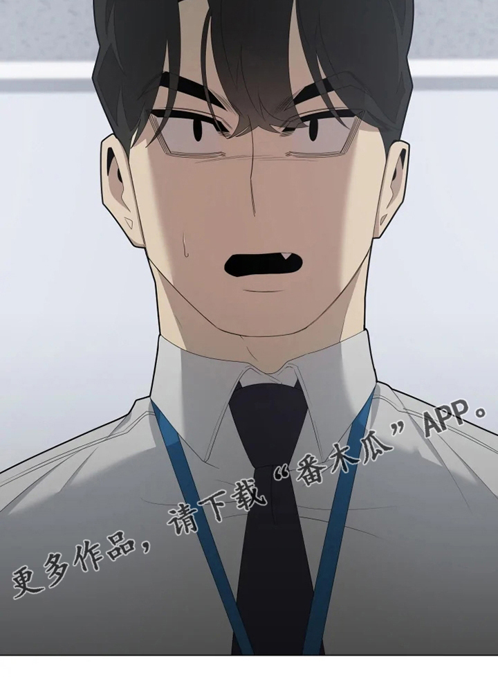 第29章：关注12