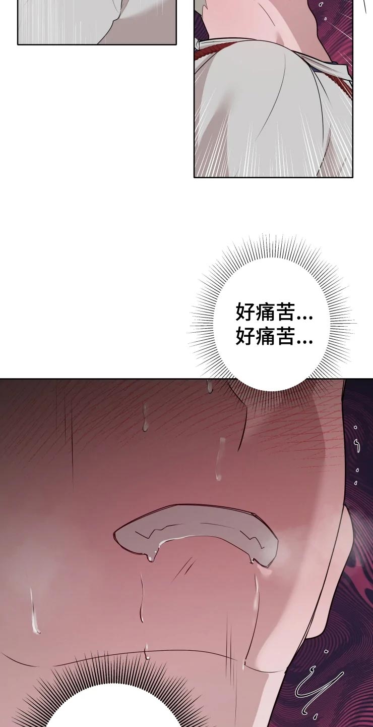 第41章：未知17