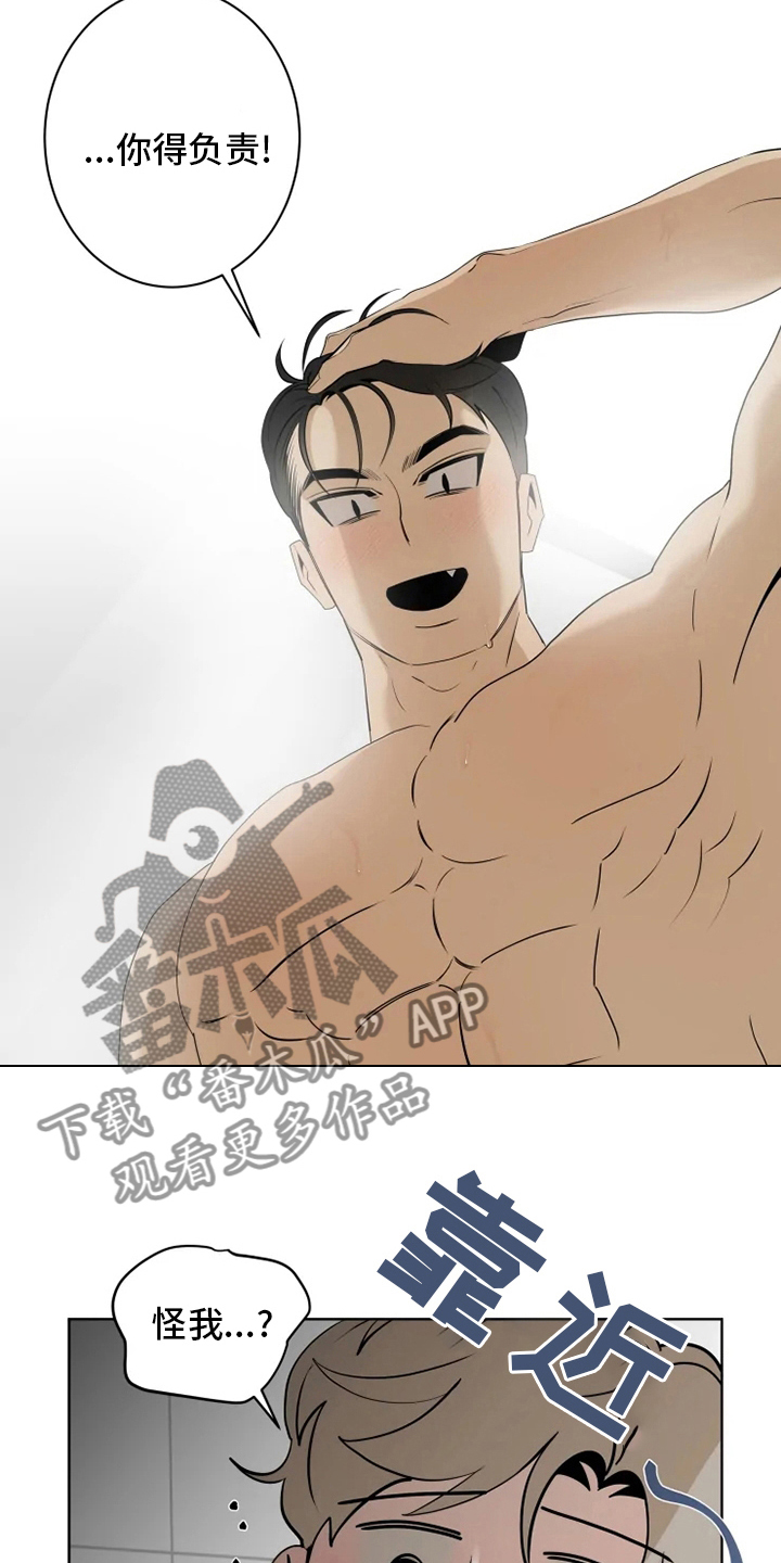 第21章：负责21