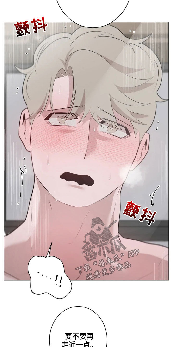 第43章：真漂亮9