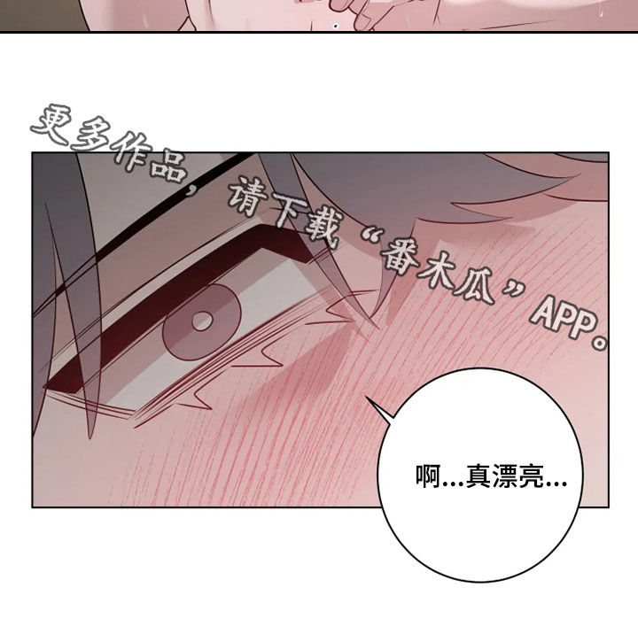 第43章：真漂亮20