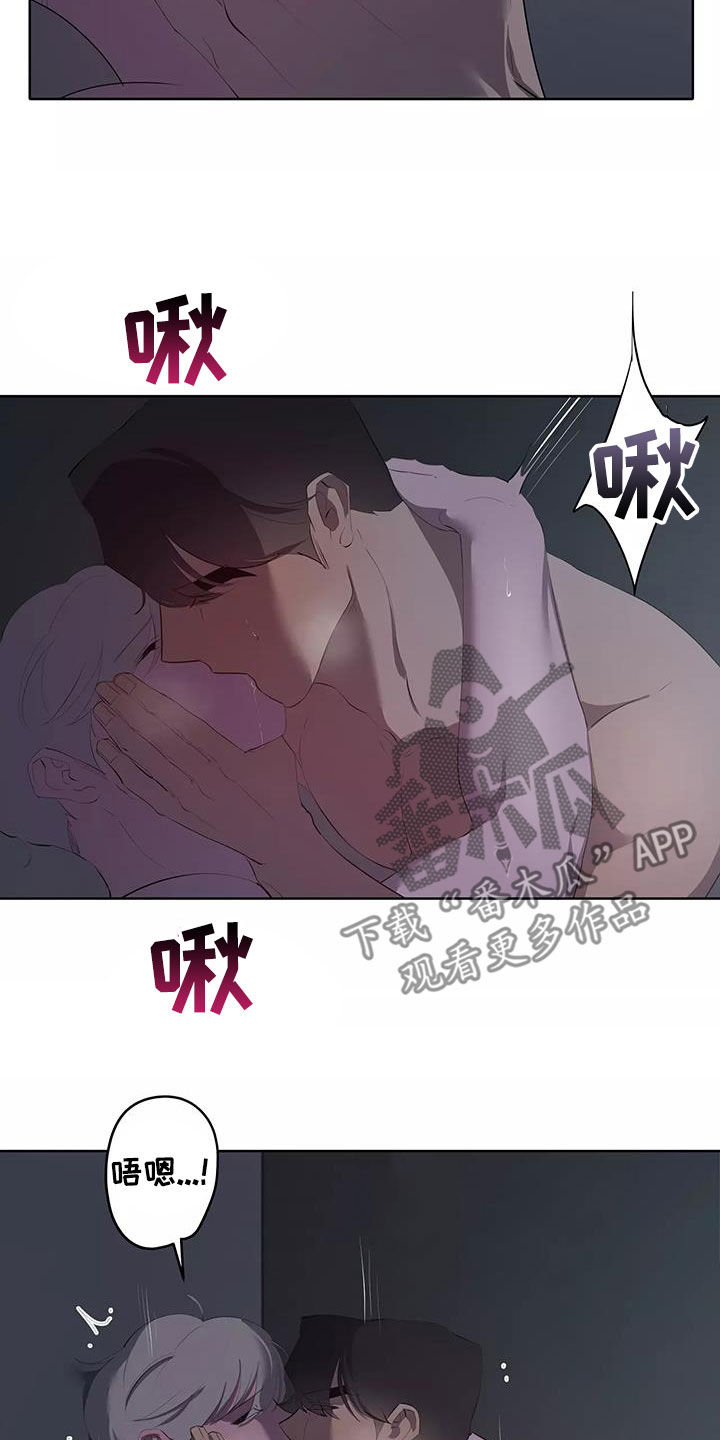 第81章：改正15