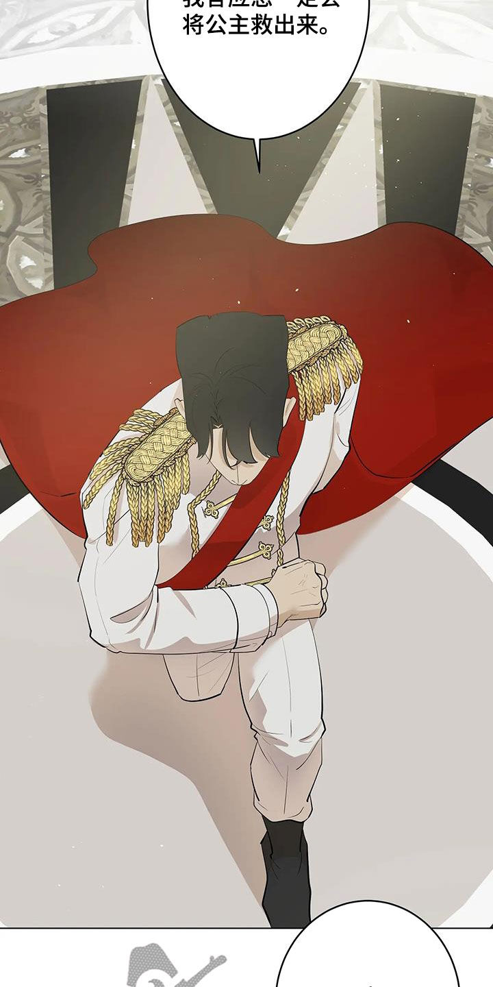 第103章：【第二季】拯救公主16