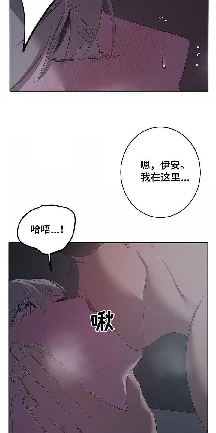第81章：改正14