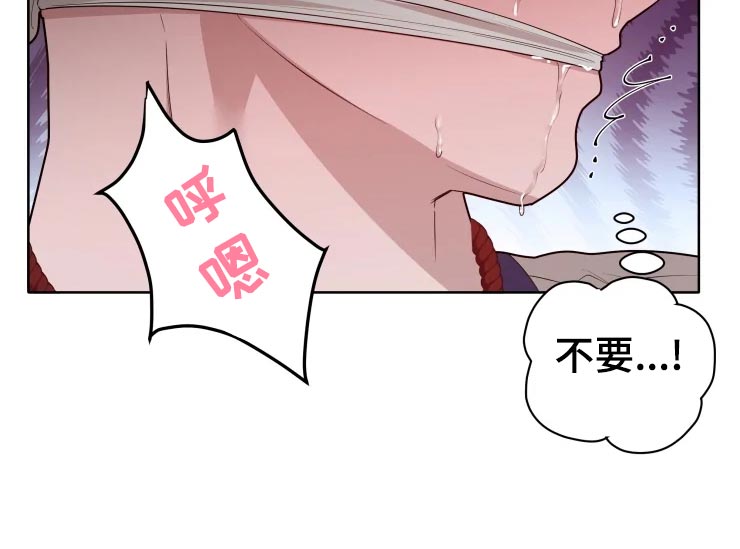 第40章：天赋17