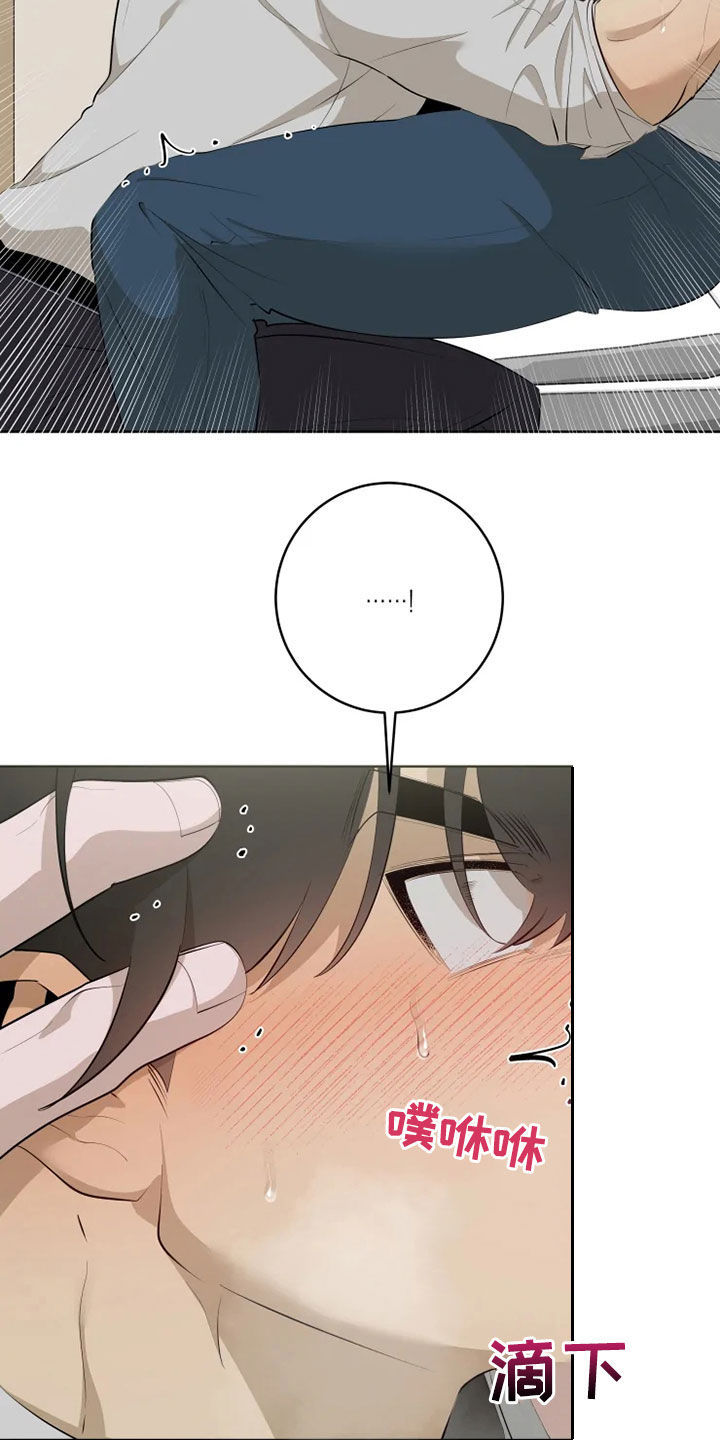 第49章：第一次见21