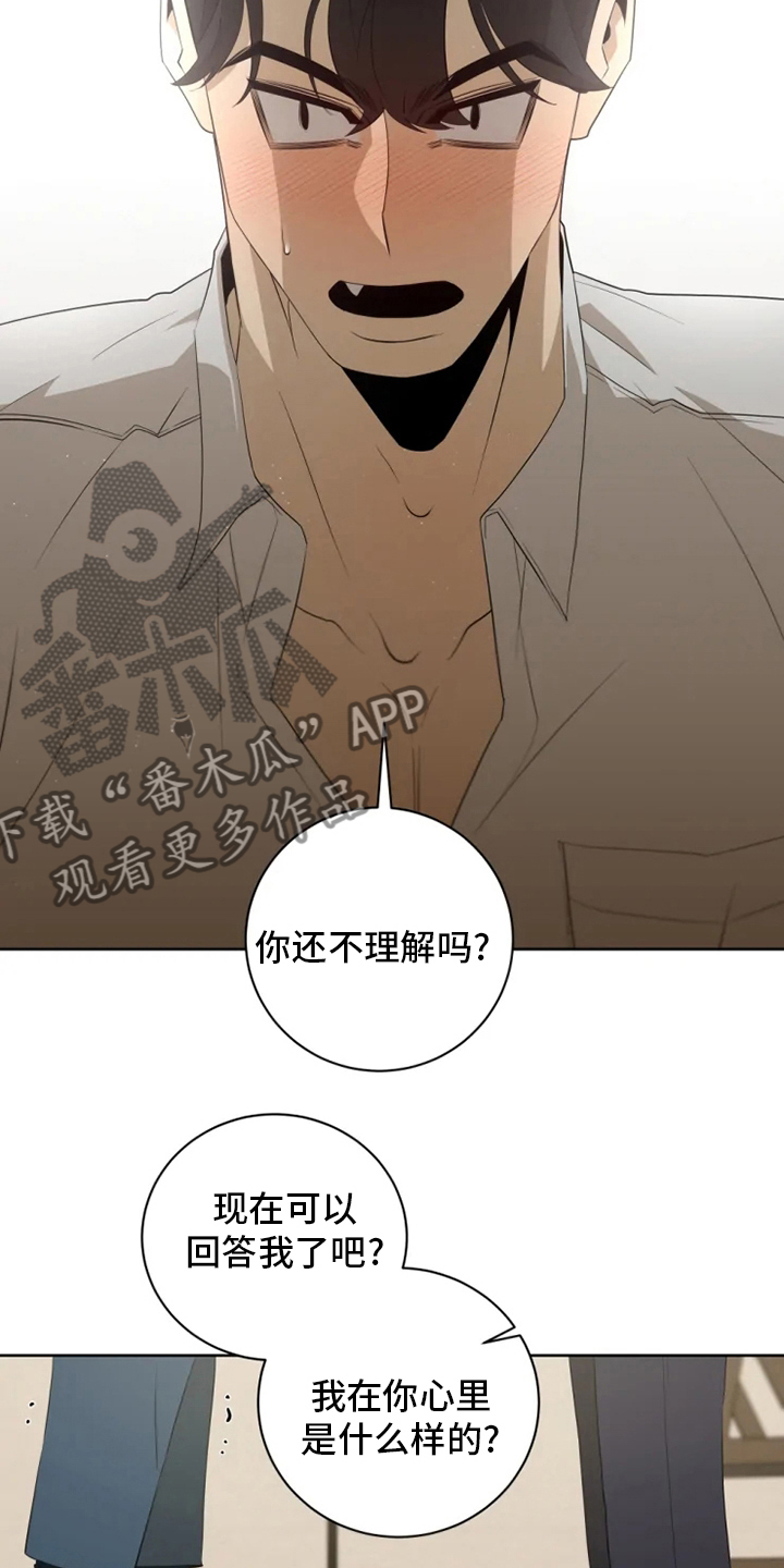 第19章：回答18
