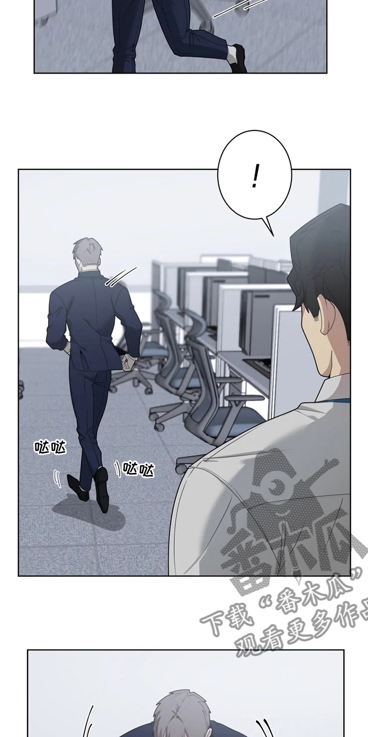 第29章：关注5