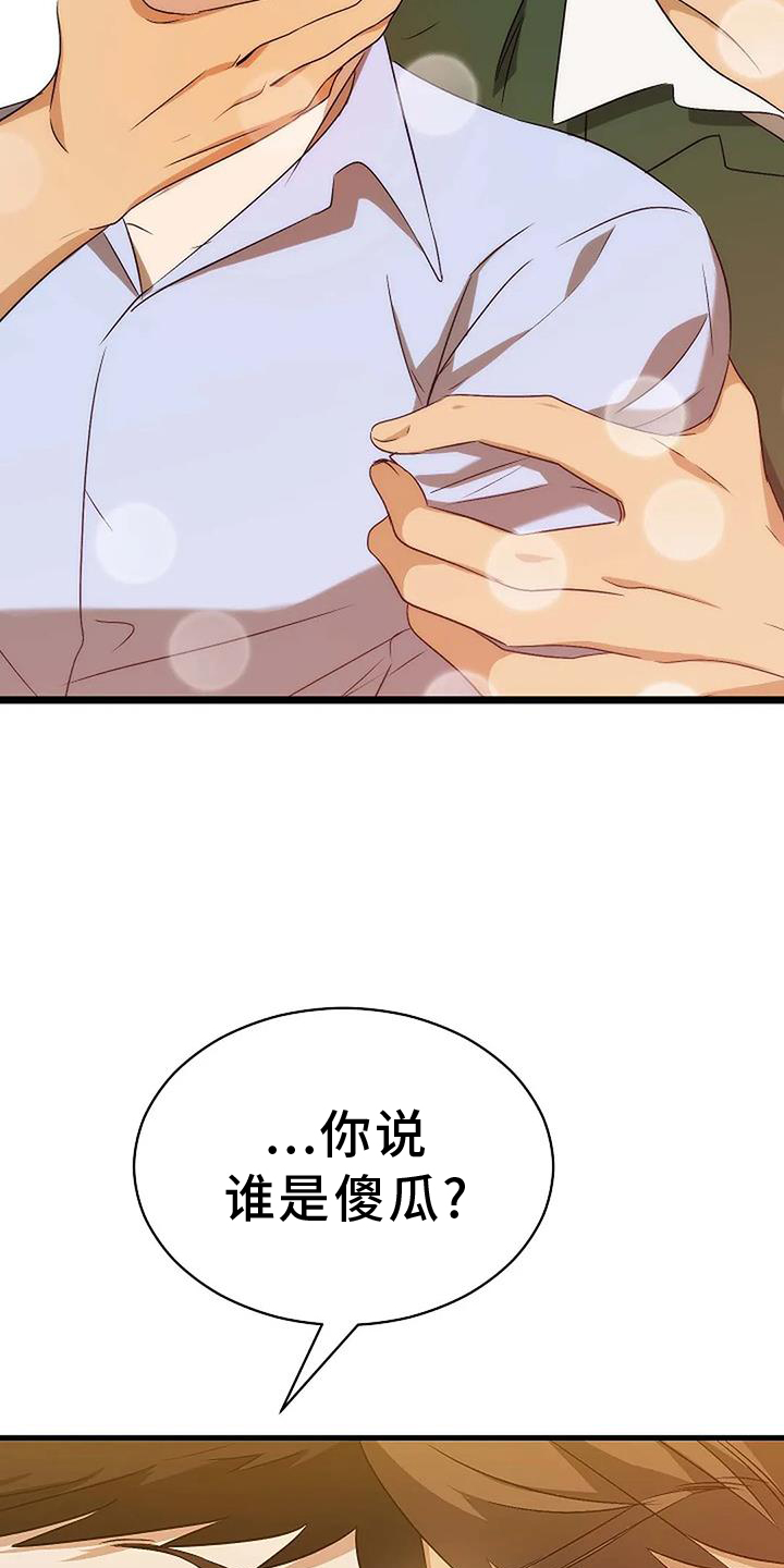 第13章：傻瓜22