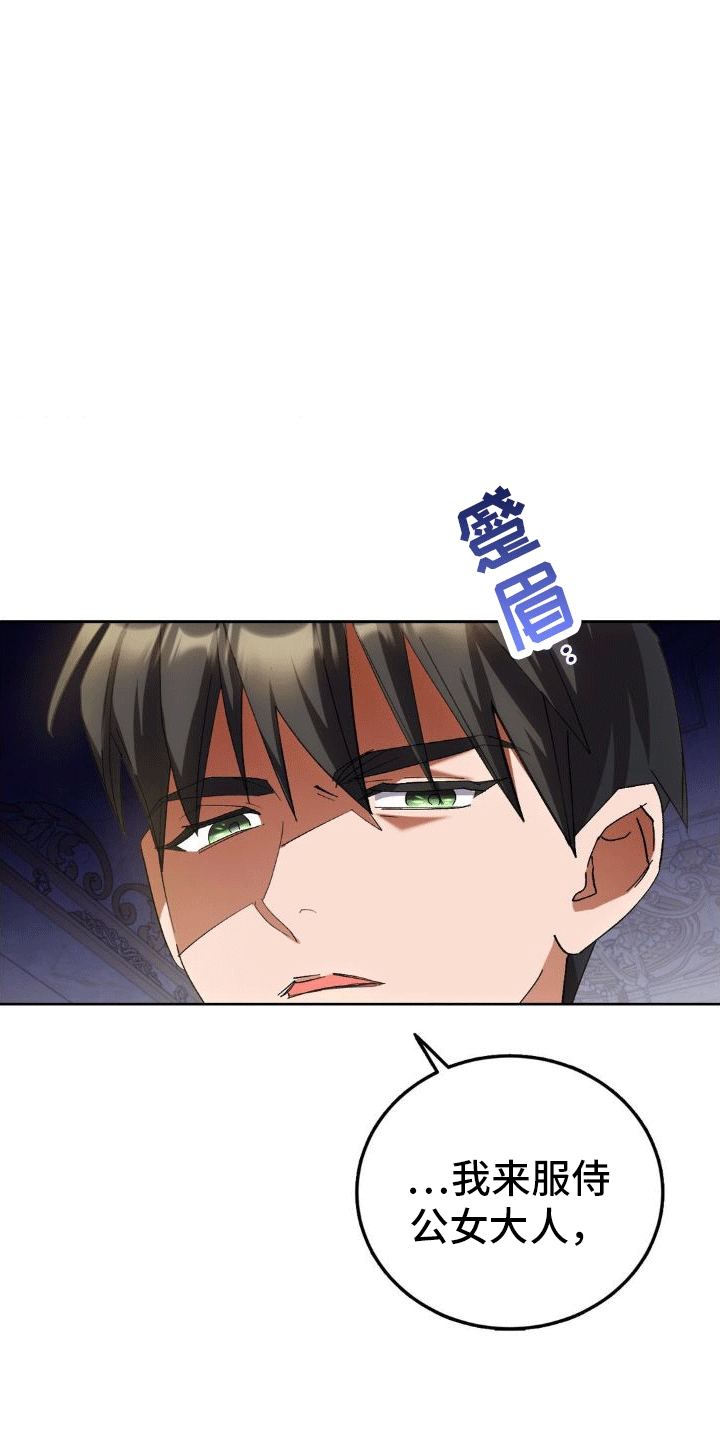 第5章：执政官21