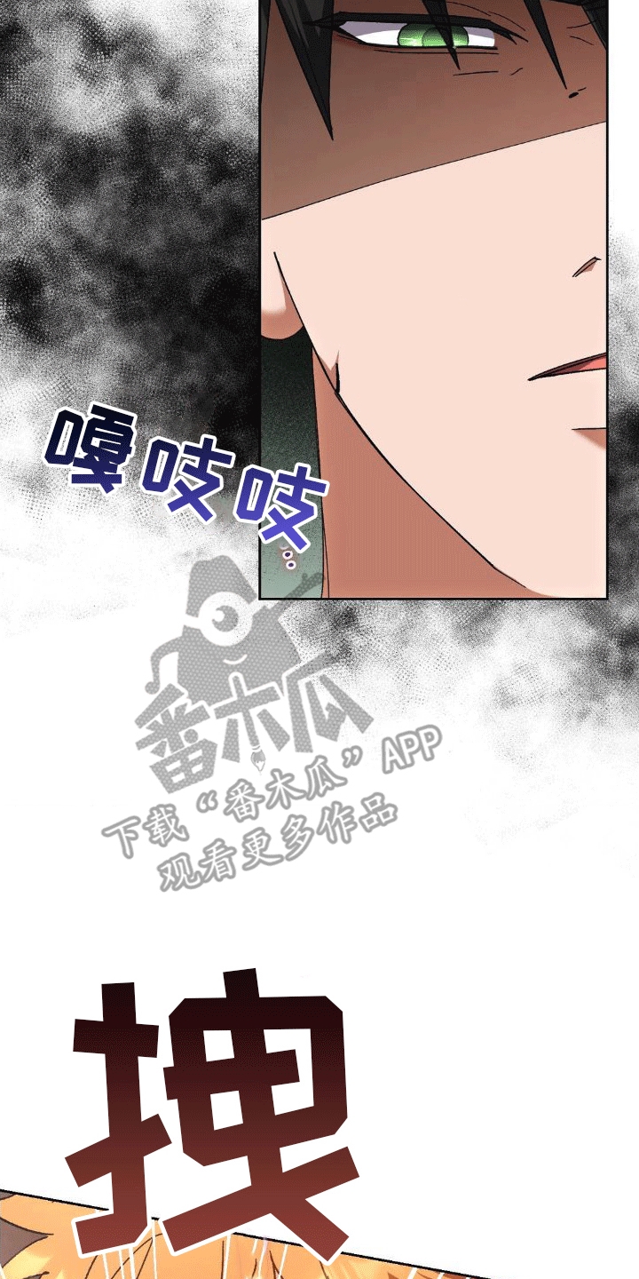 第8章：请求24