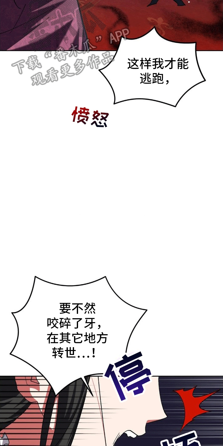 第5章：执政官10