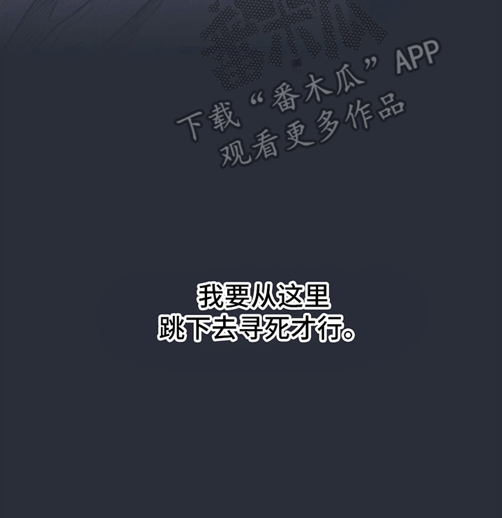 第12章：指控39