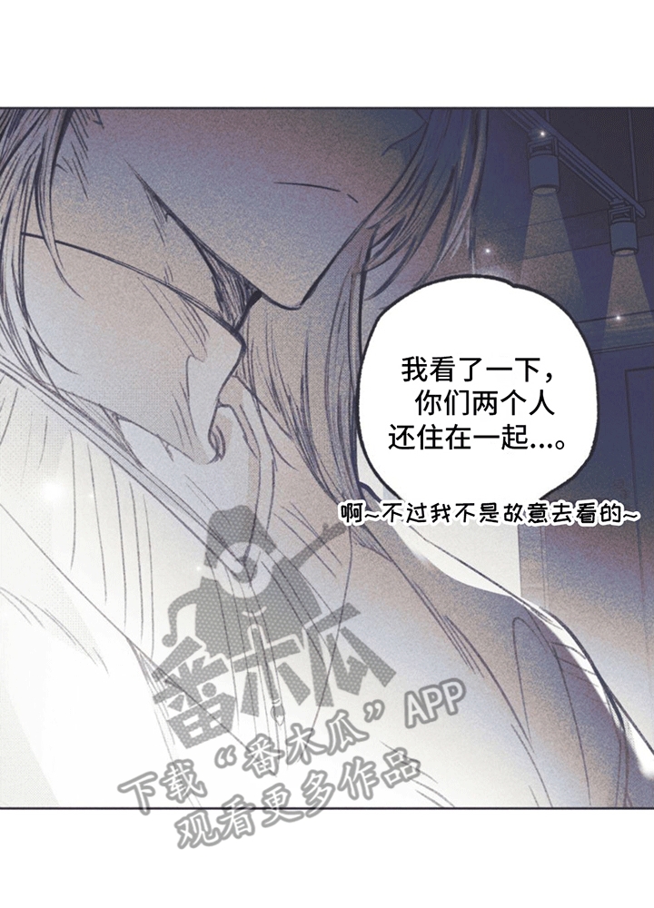 第9章：试探31