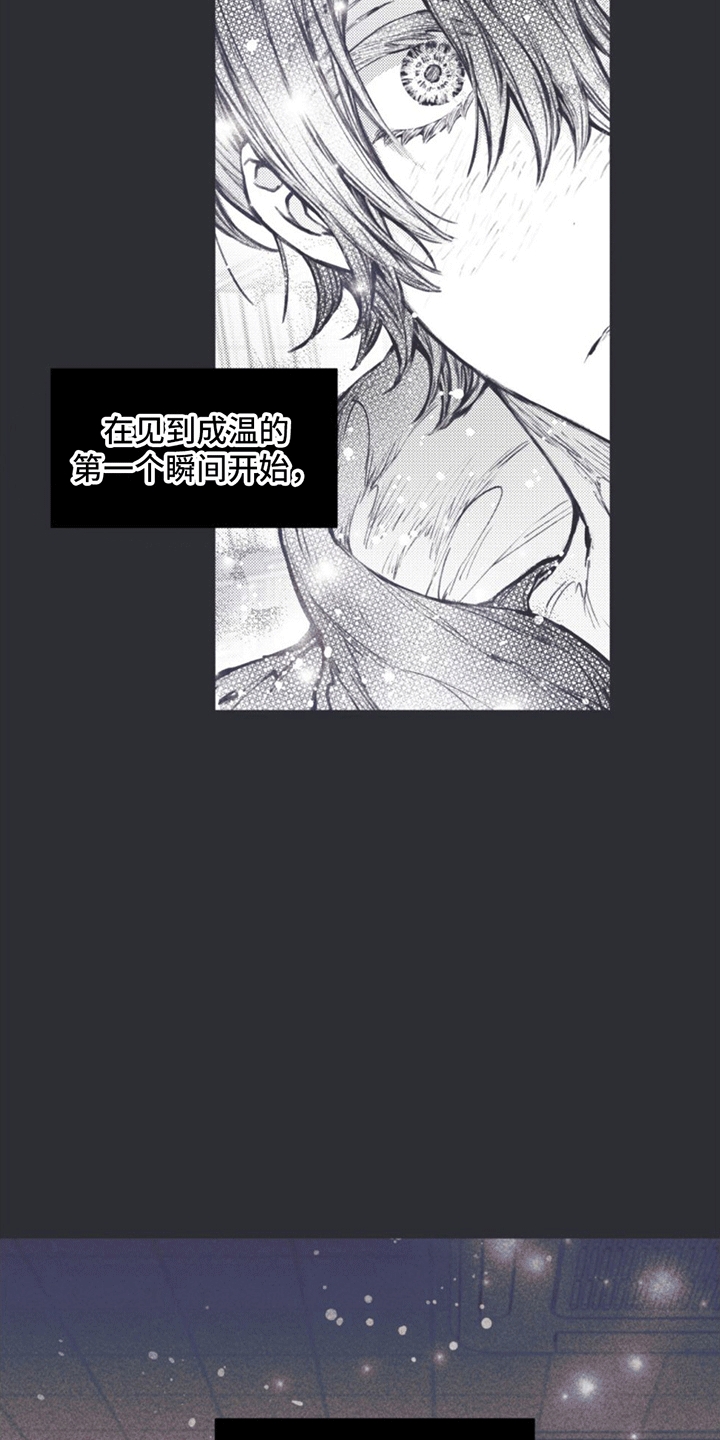 第4章：一见钟情·13