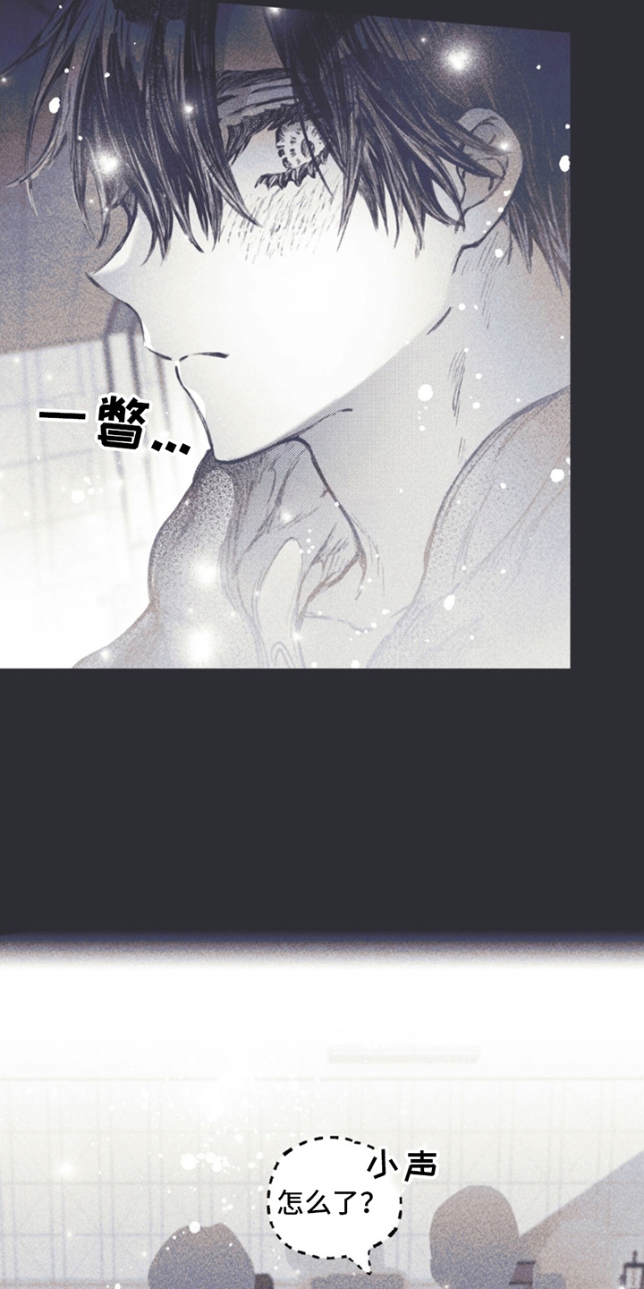 第4章：一见钟情·19