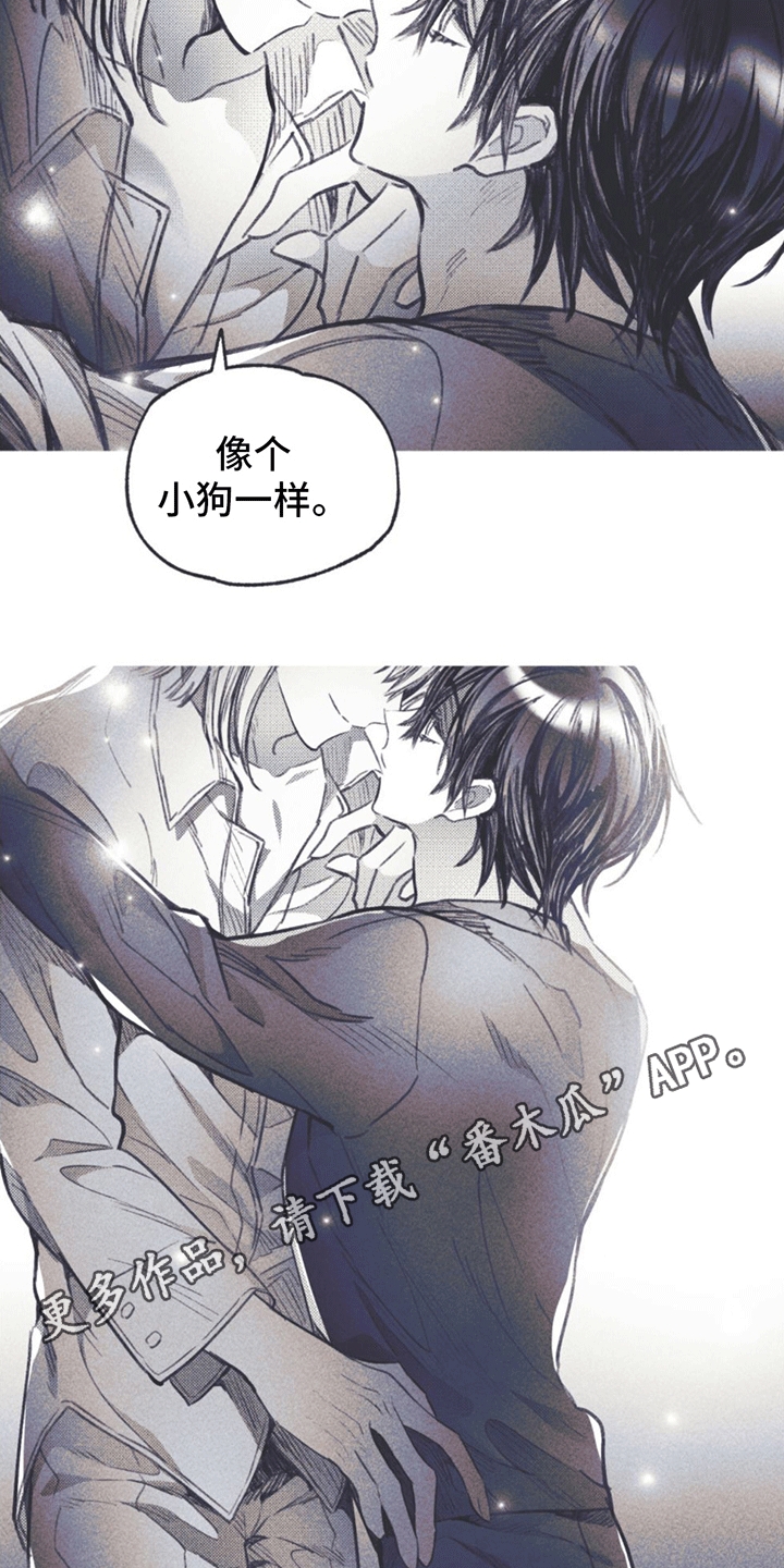 第9章：试探10