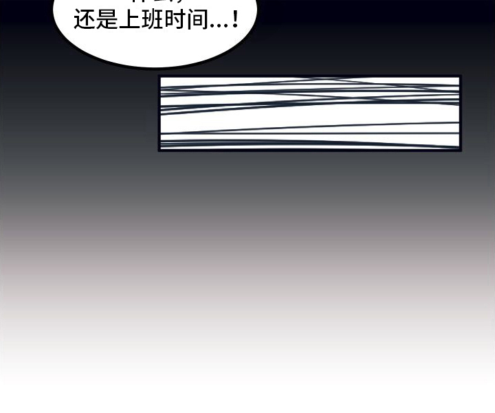 第8章：利用28