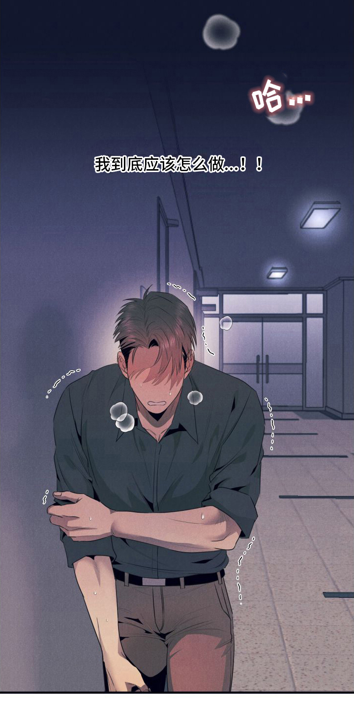 第11章：建议19