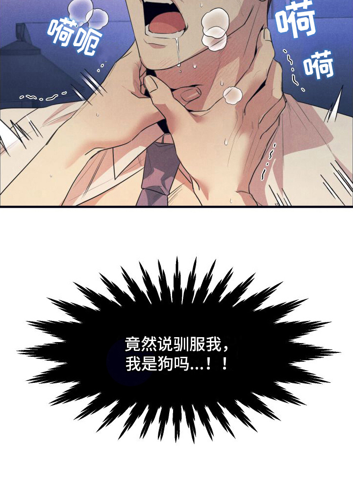 第13章：绝配【完结】13