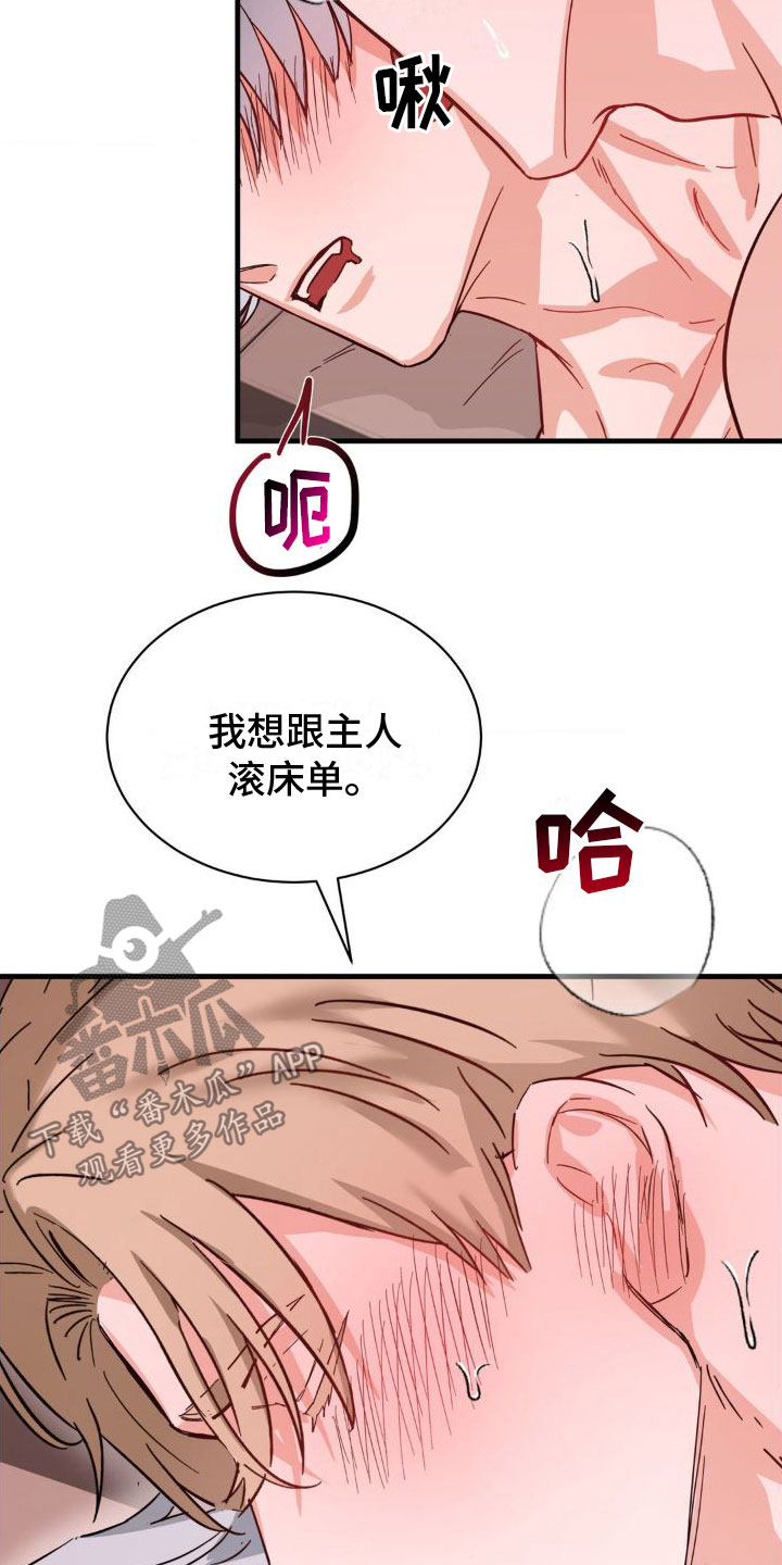 第5章：撒娇17