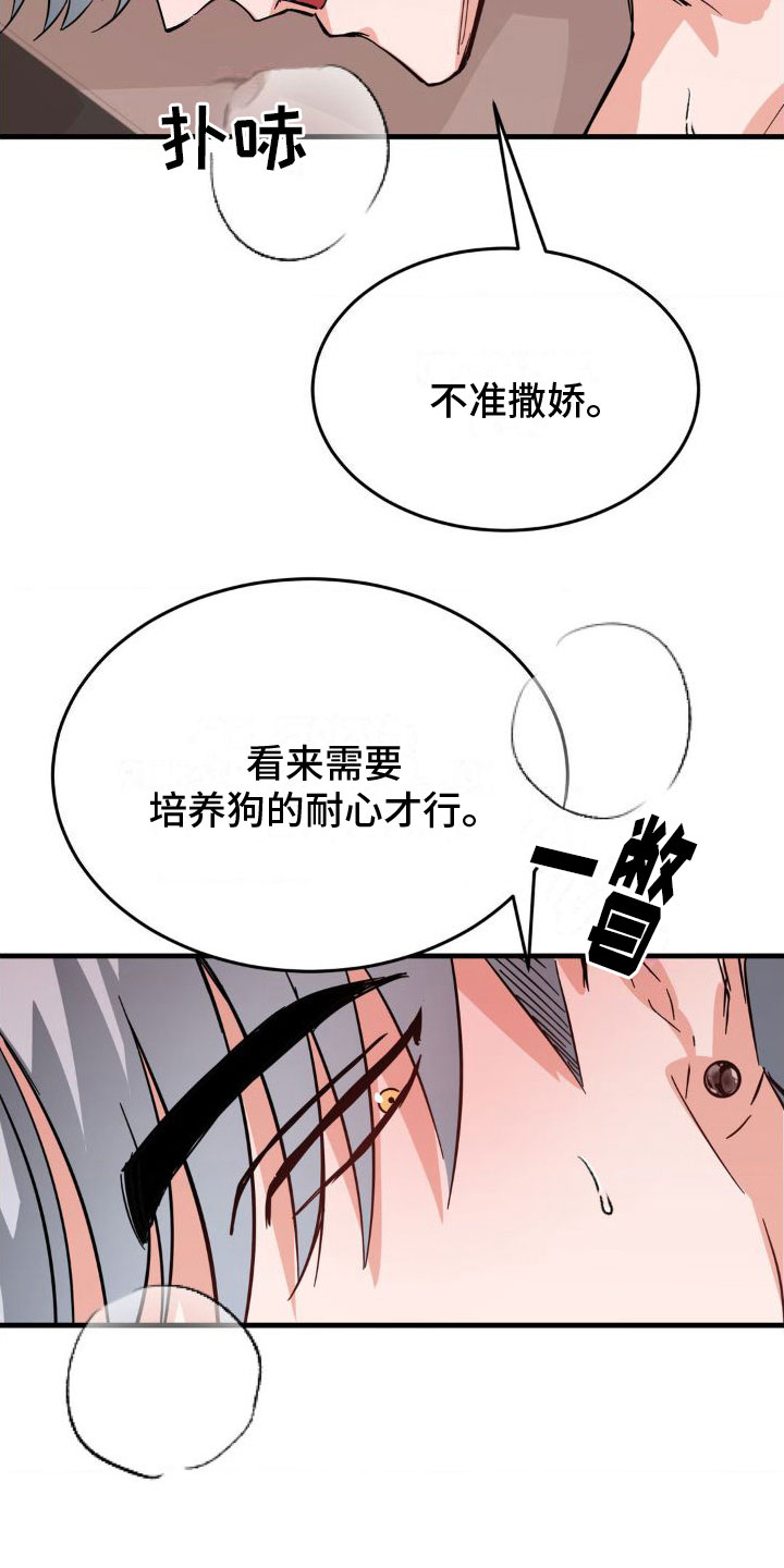 第5章：撒娇19