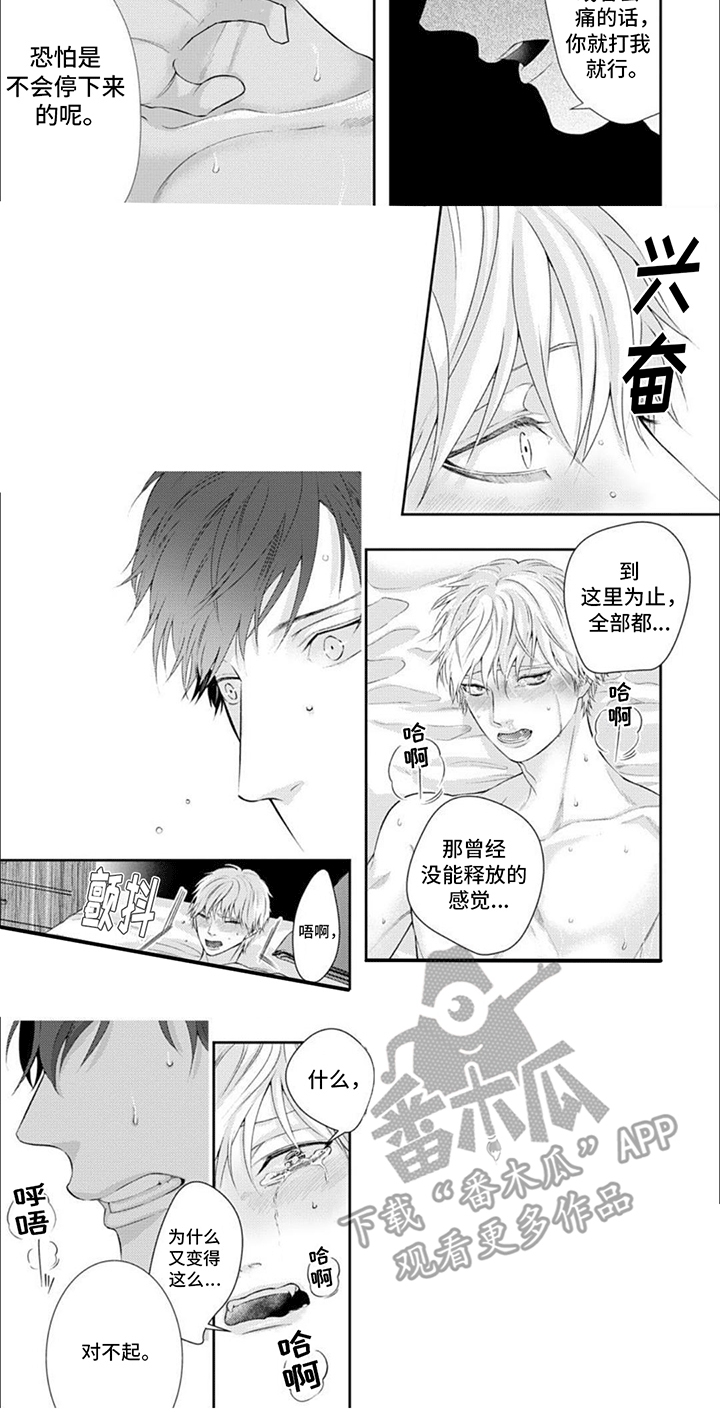 第16章：主动6