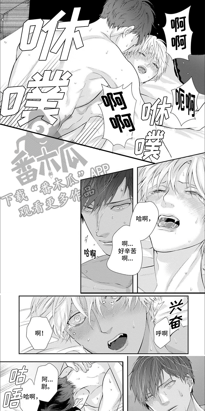 第17章：戒指0