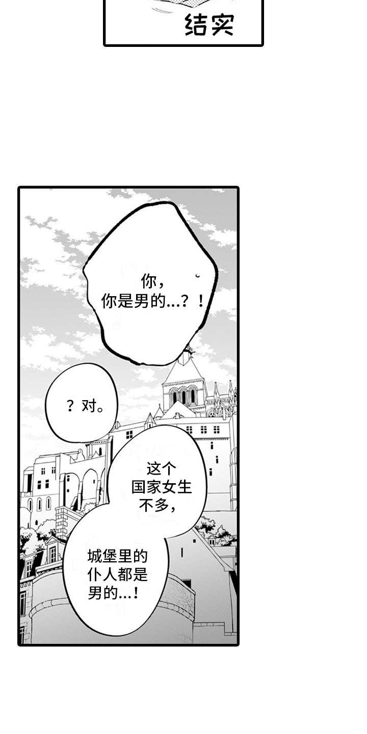 第4章：有趣17