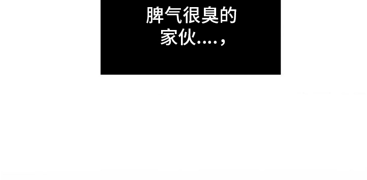 第13章：转学32