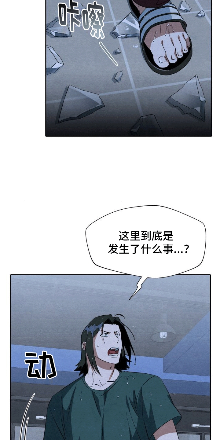 第15章：和好2