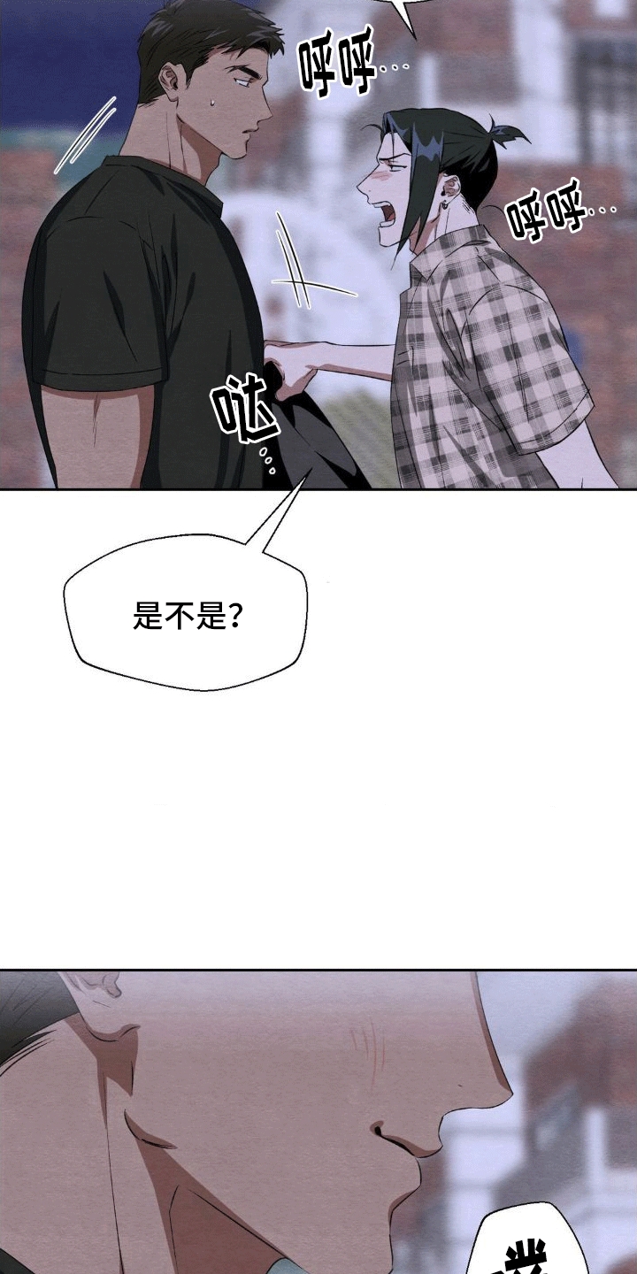 第7章：带回家15