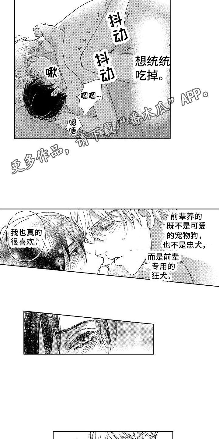 第19章：喜欢你（完结）14