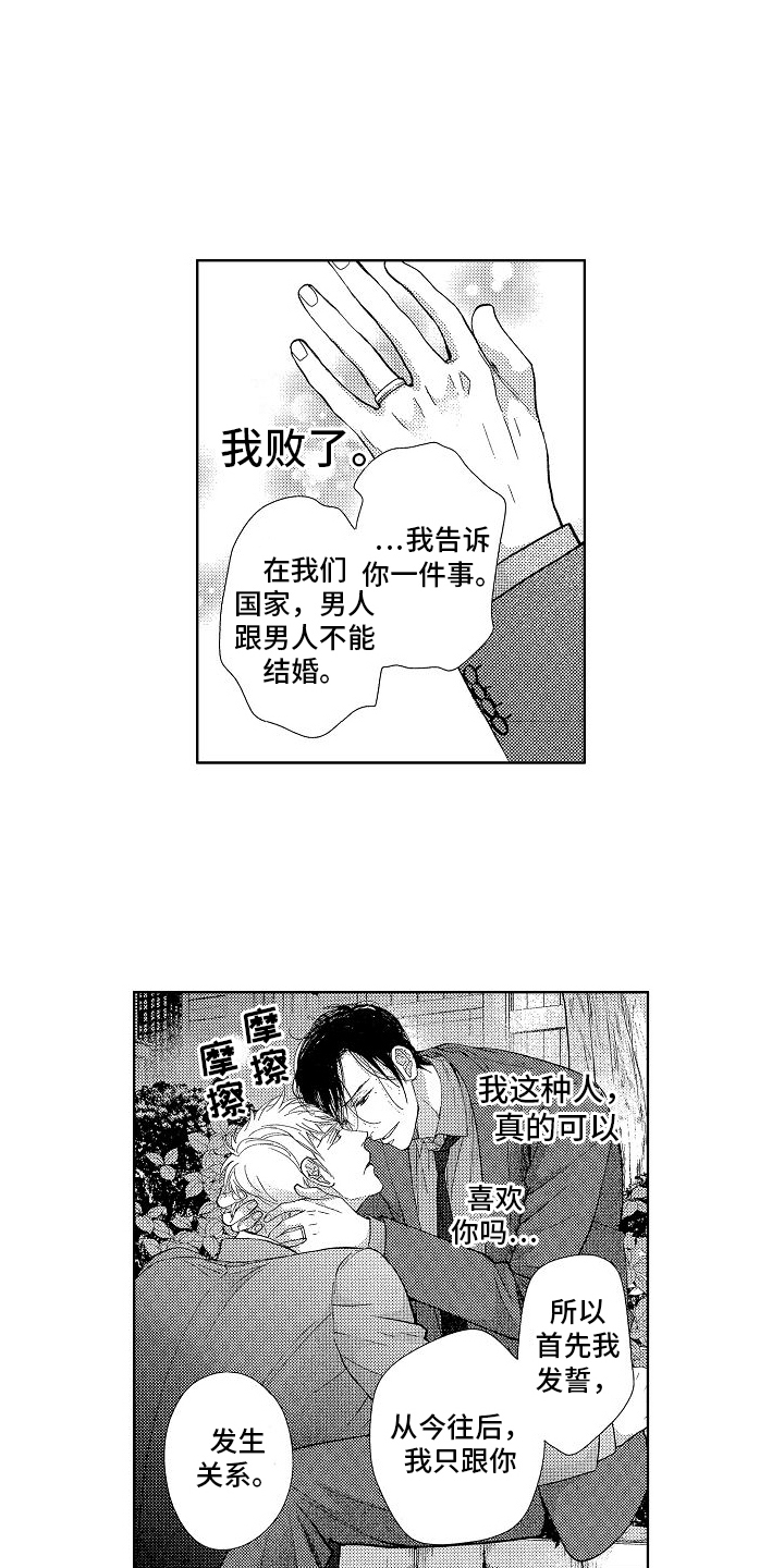 第15章：和好11