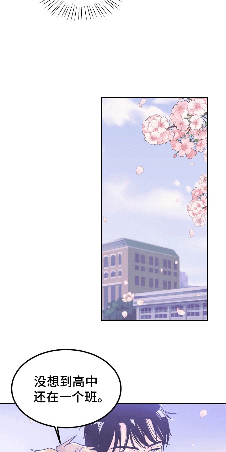 第9章：决定13