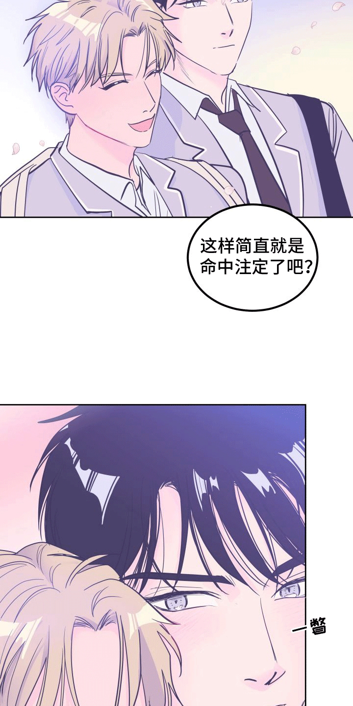 第9章：决定14