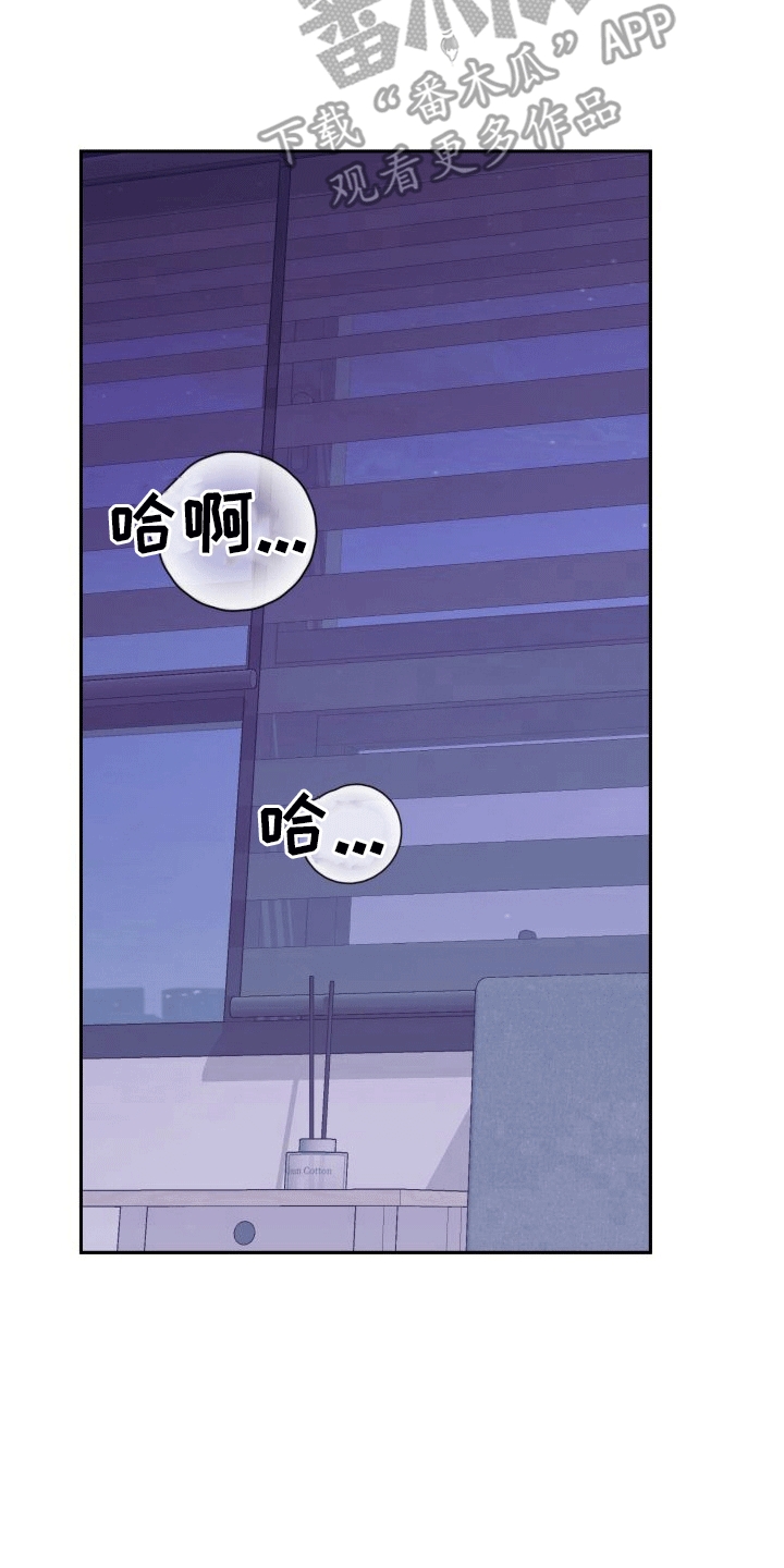 第4章：不联系17