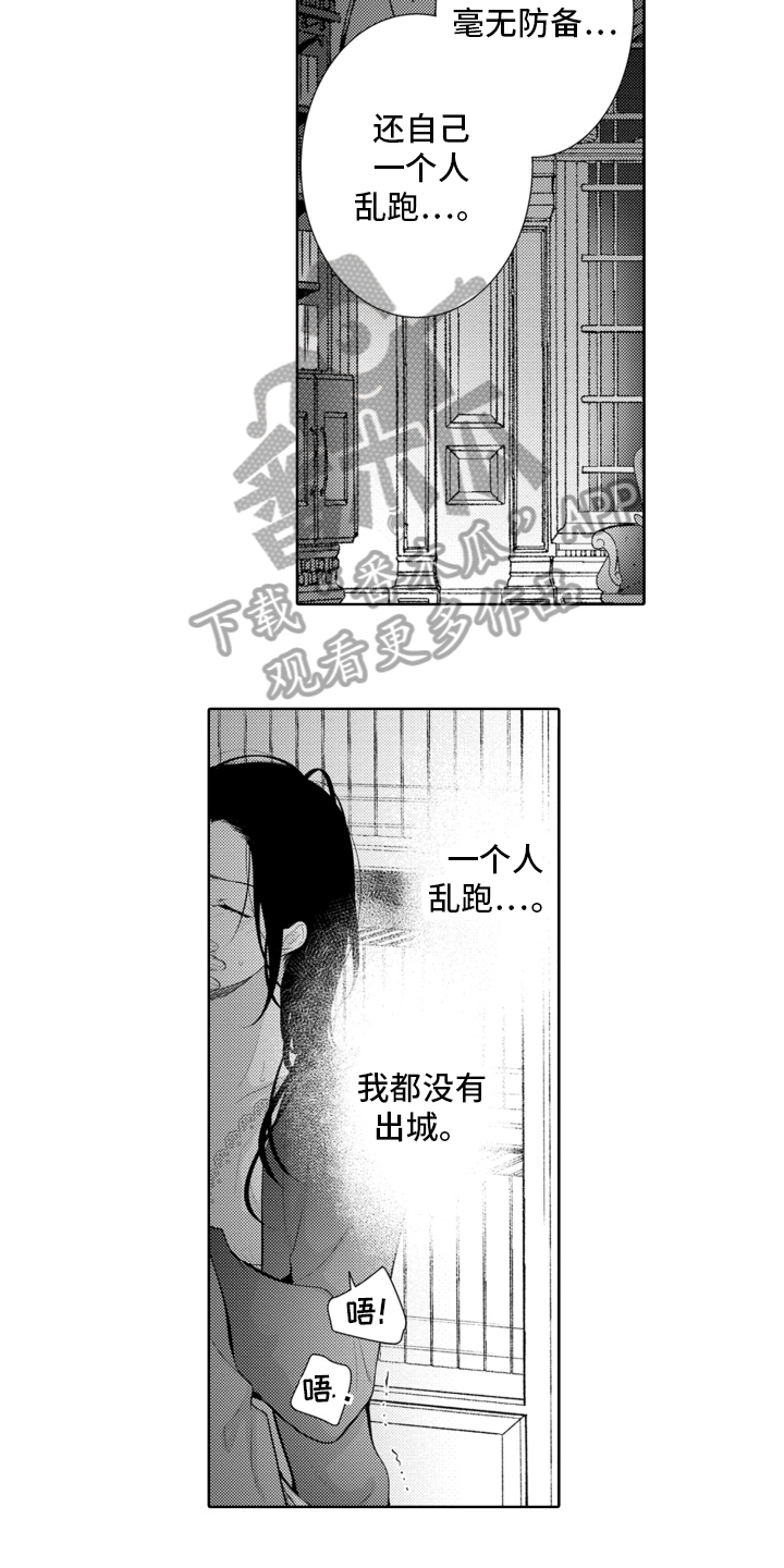 第9章：危机11