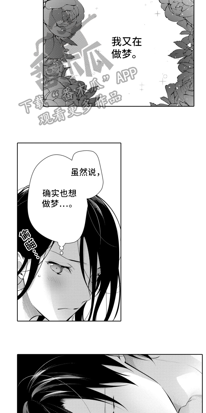 第17章：又回来了3