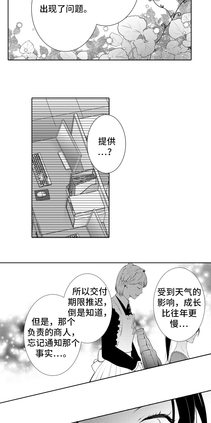第19章：问题4