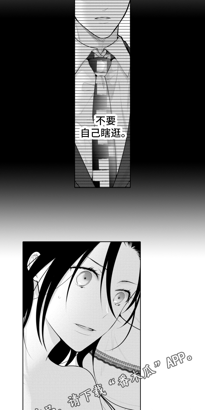 第17章：又回来了13