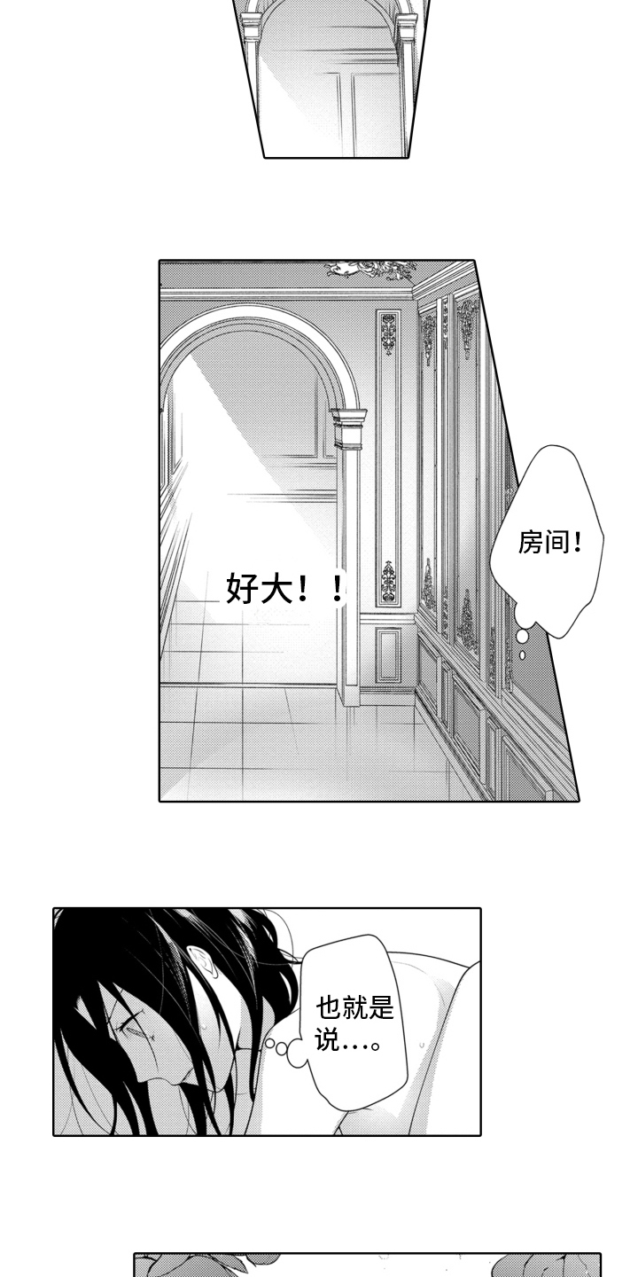 第17章：又回来了2