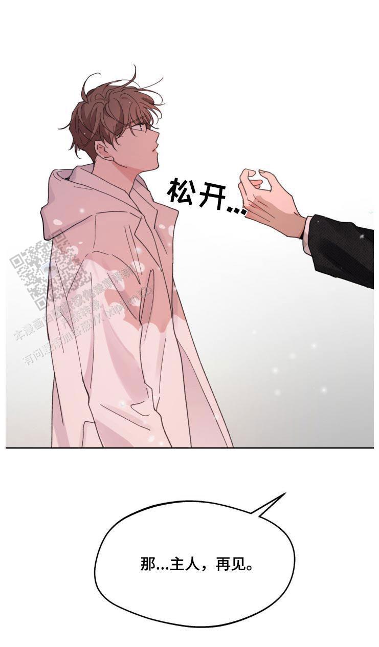第207话5