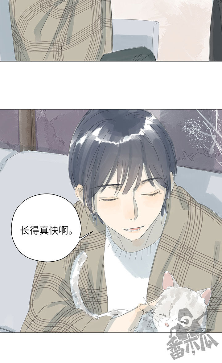 第63话13