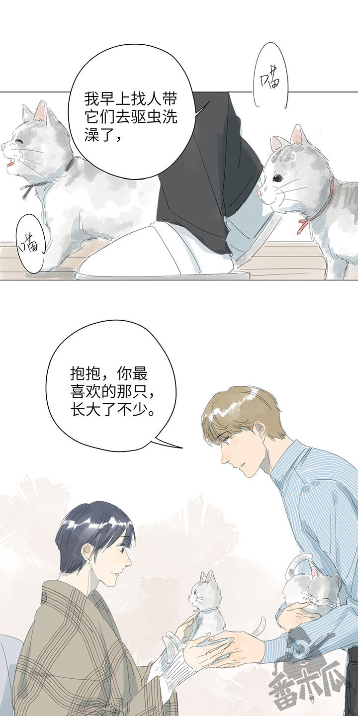 第63话12