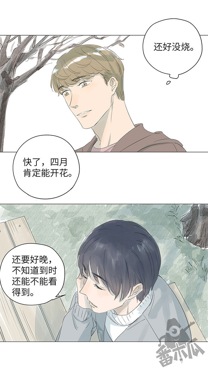 第46话19