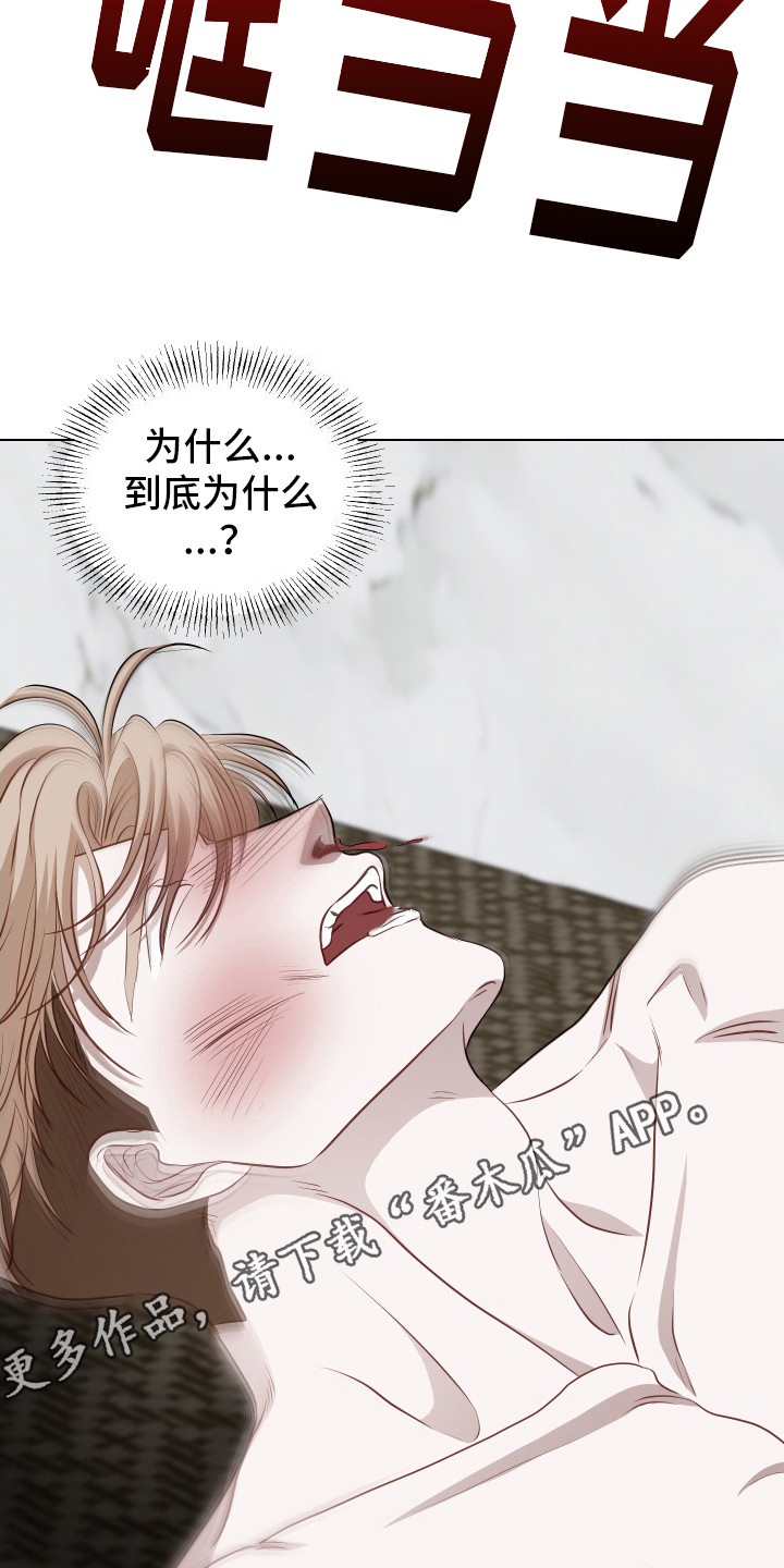 第17话11