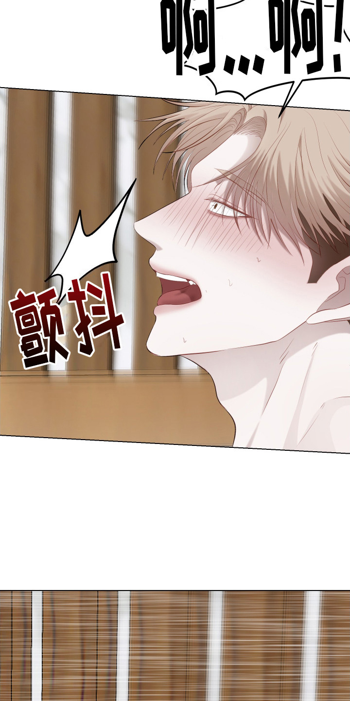 第11话5