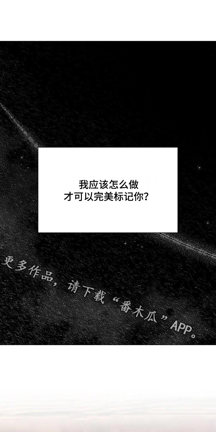 第65章：成绩0